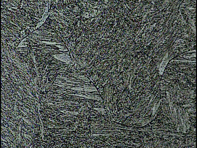 500X-1.jpg