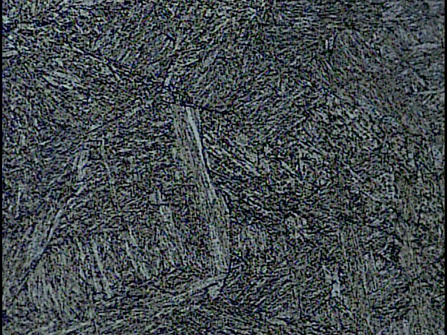 500X-2.jpg