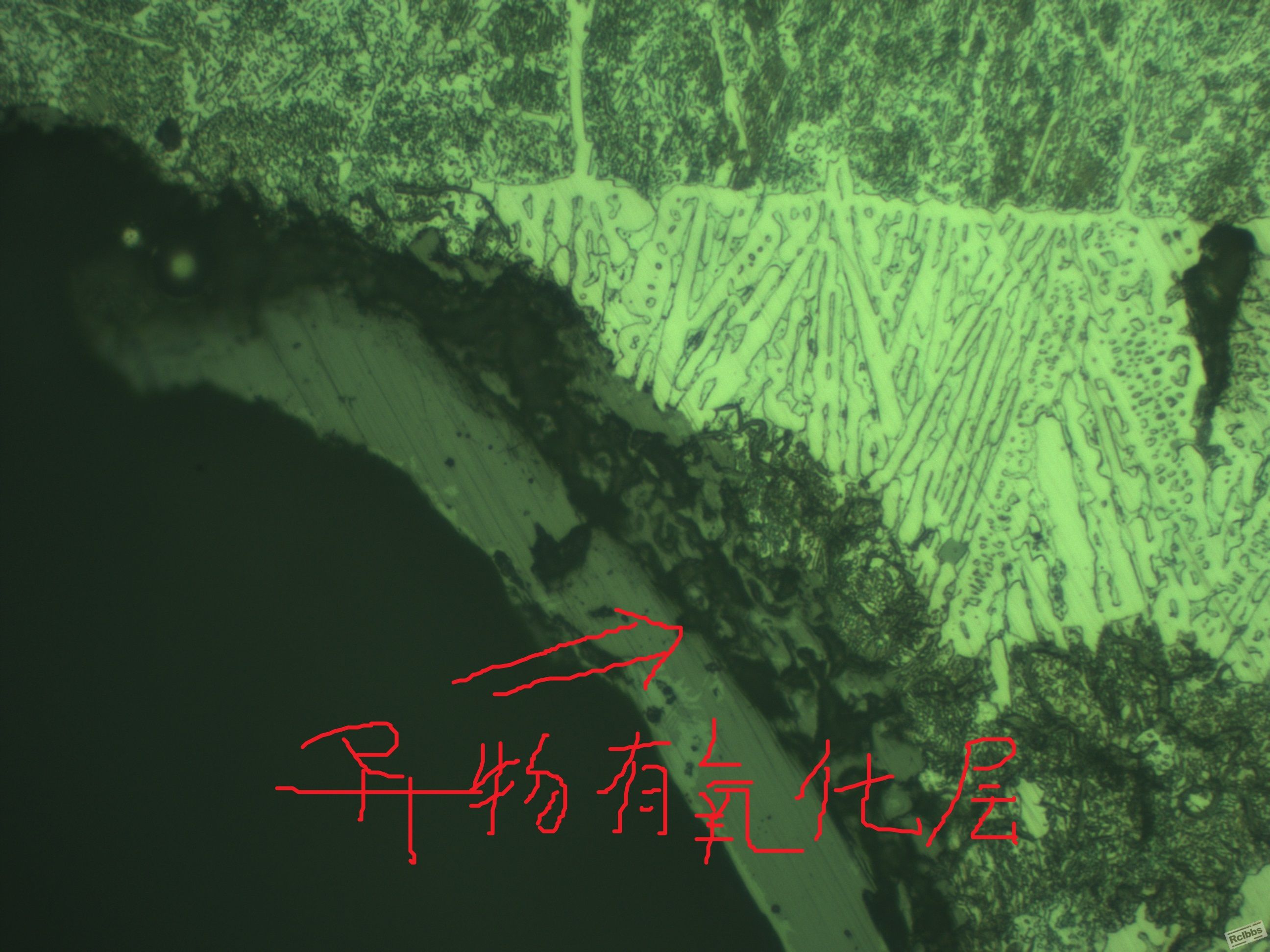 Image004_副本.jpg