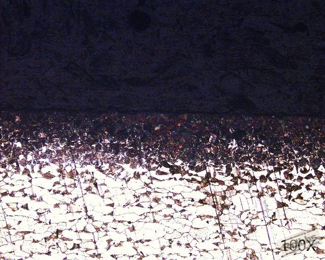 100X-1.JPG