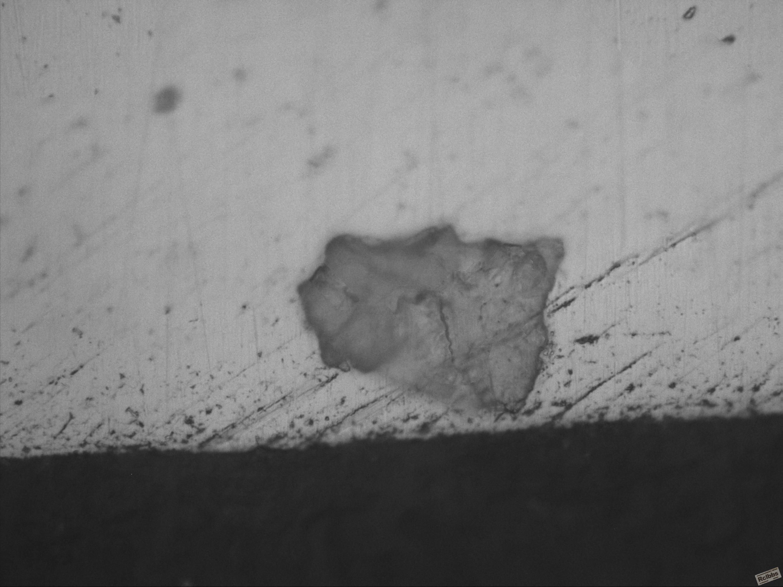 untitled005.jpg
