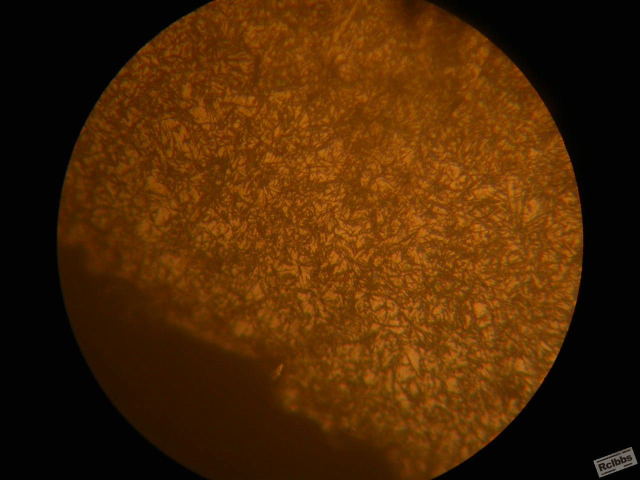DSCN5977.JPG