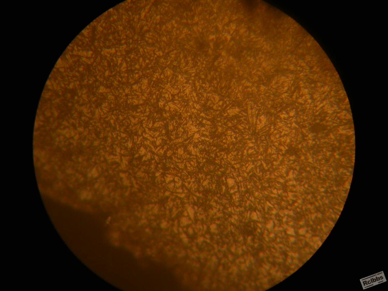 DSCN5976.JPG