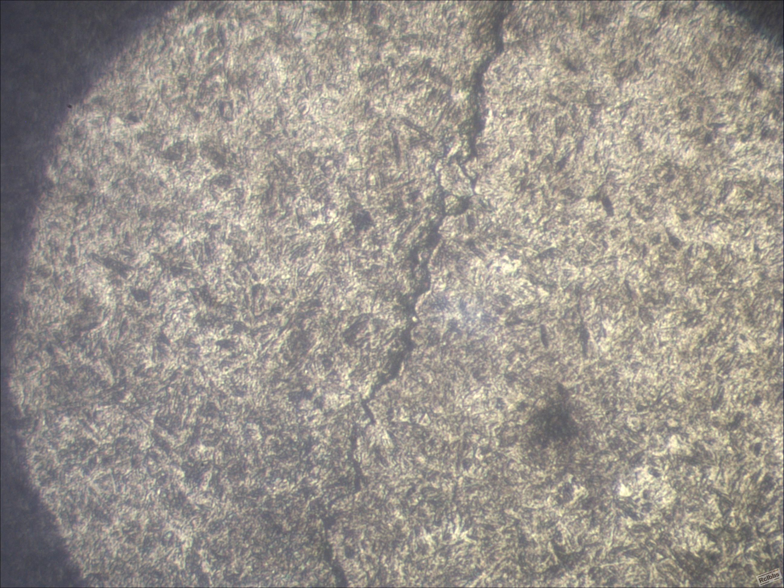 裂纹两侧400倍