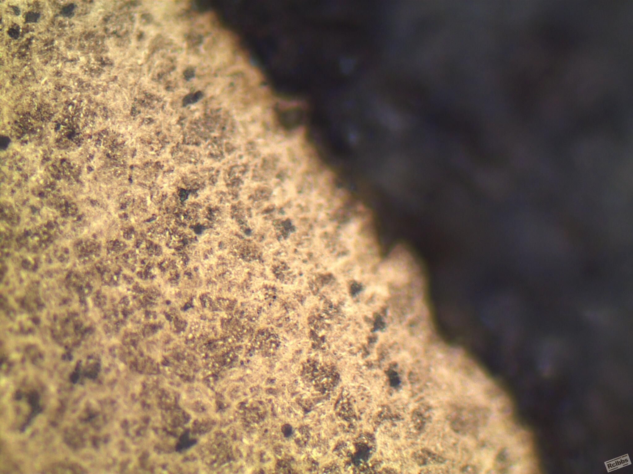 050507_003.JPG