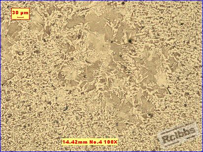 14.42mm No.4 100X.jpg
