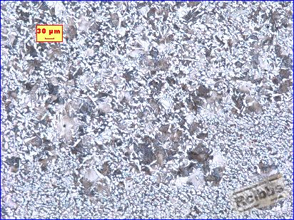 Batch 704457-14.42mm No.10 100X.jpg