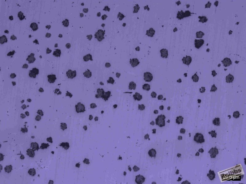 50X-0001.jpg