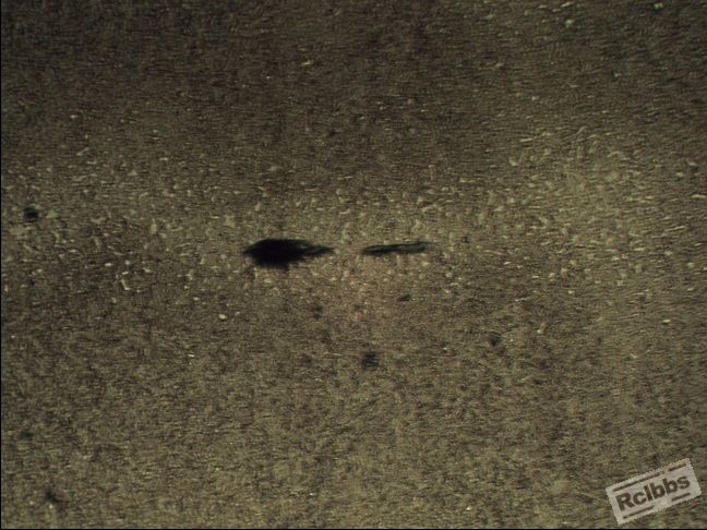 6178  大板开裂  200X-3.jpg