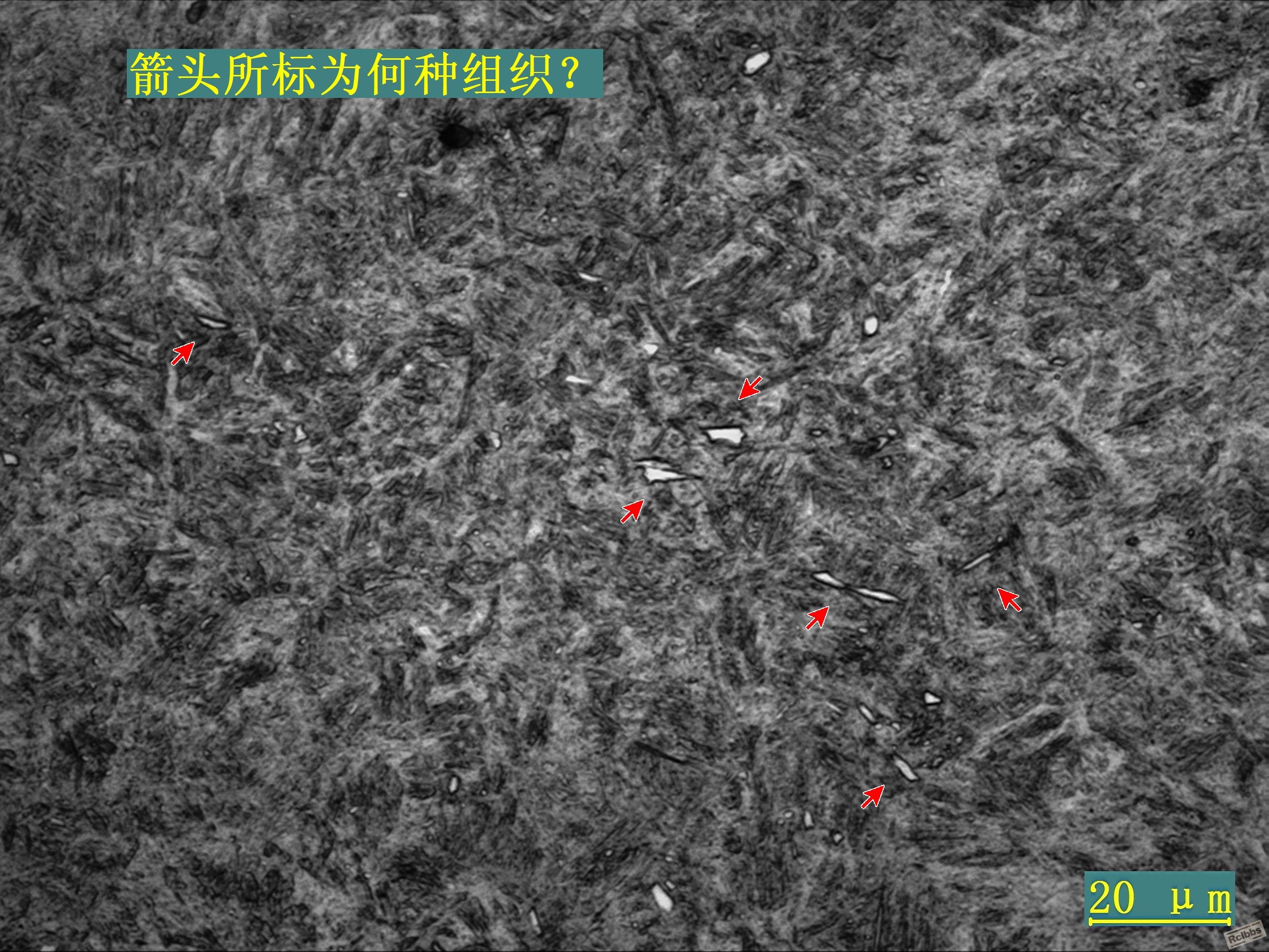 1#42CrMo4心部组织（2）500x编辑.jpg
