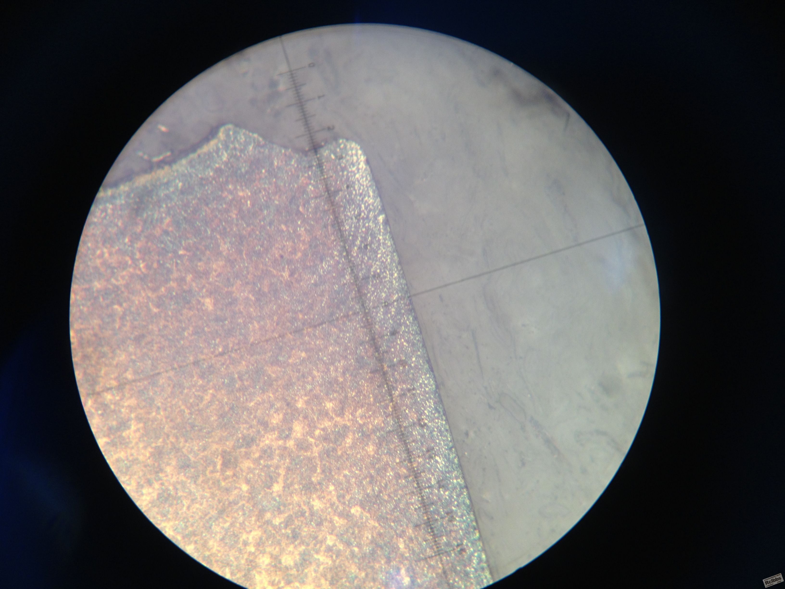 400X
