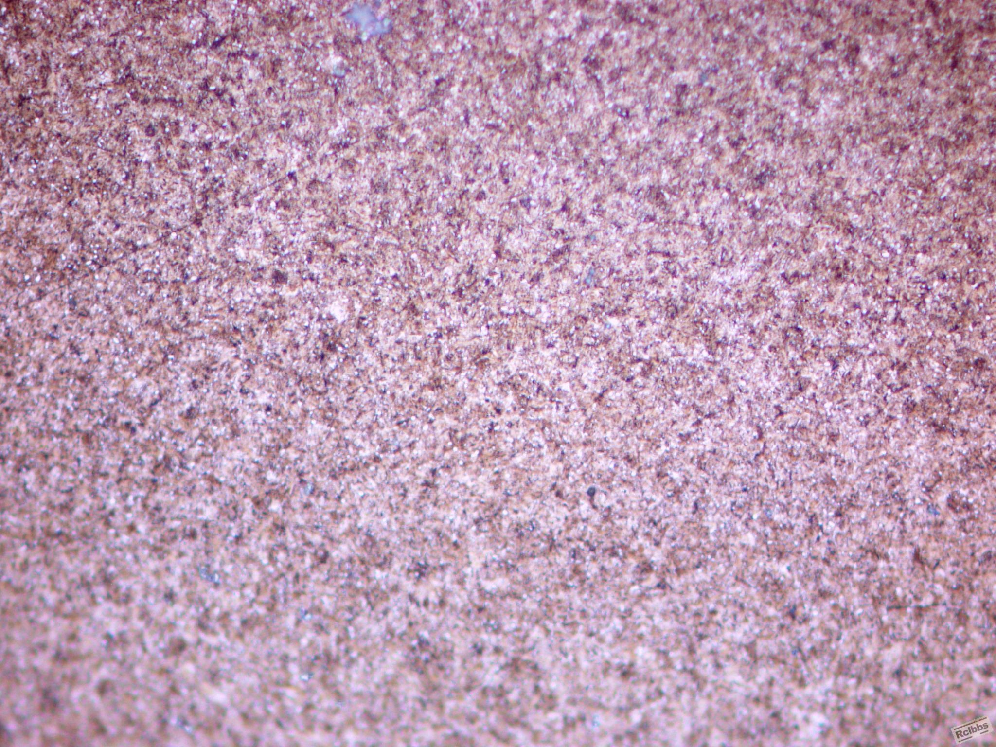 01x500.jpg