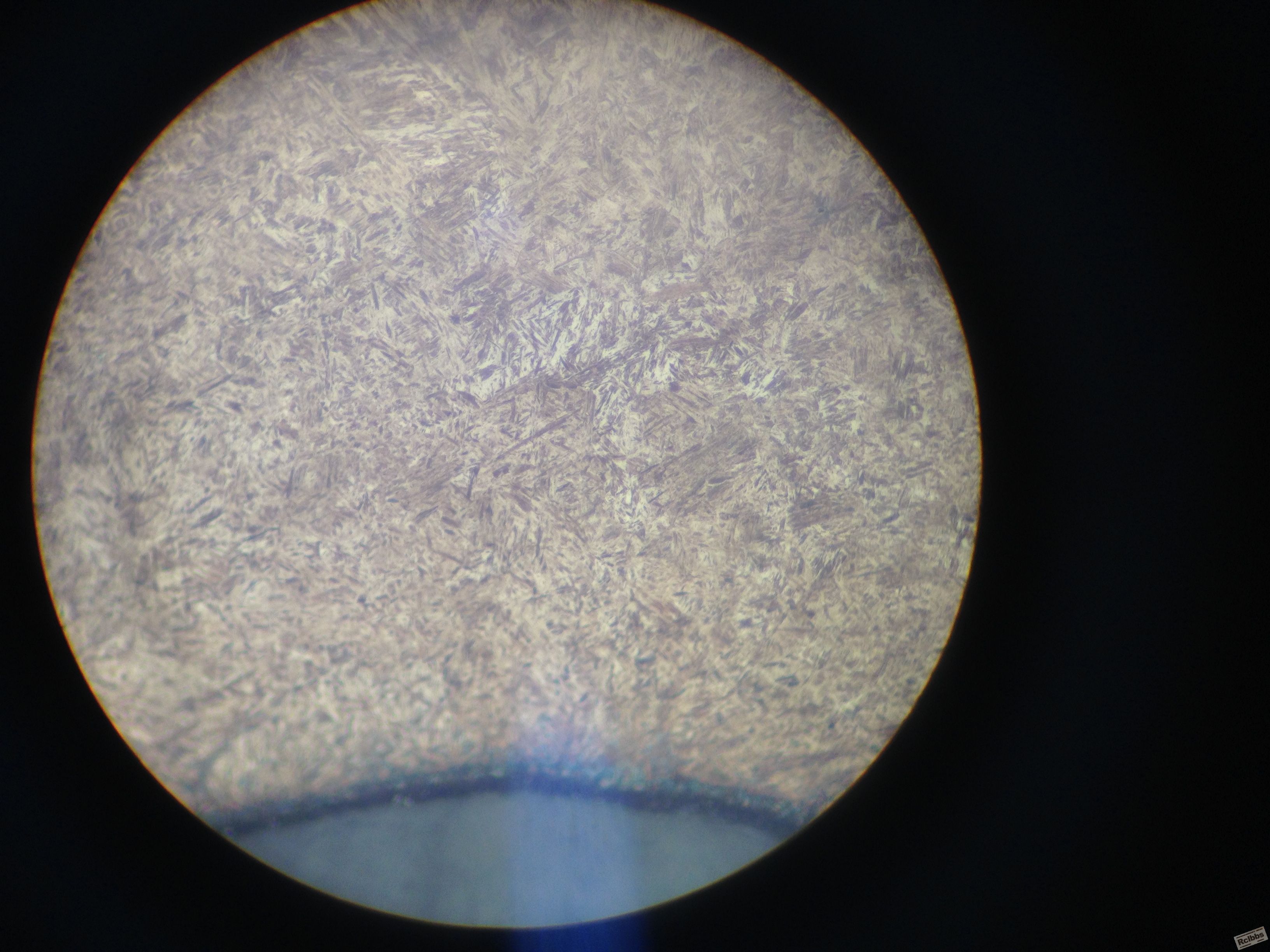 IMG_0603.JPG