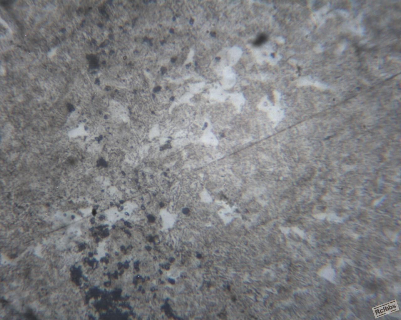 放大倍数500x