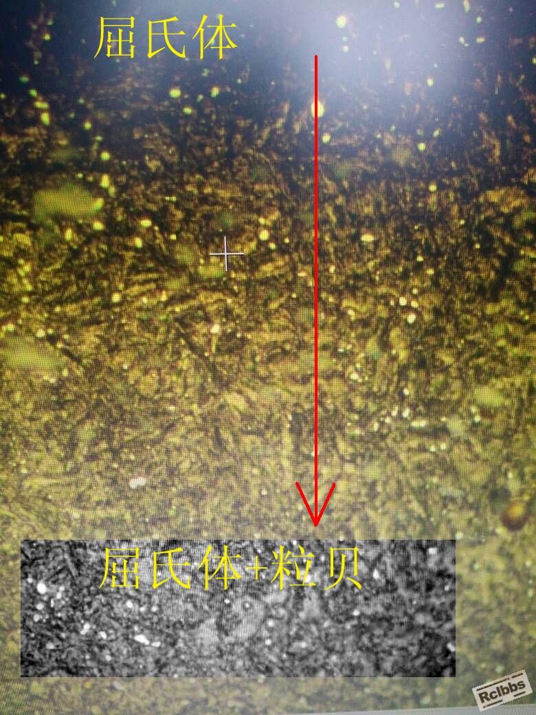 SK5 T9 830加热320等温.JPG
