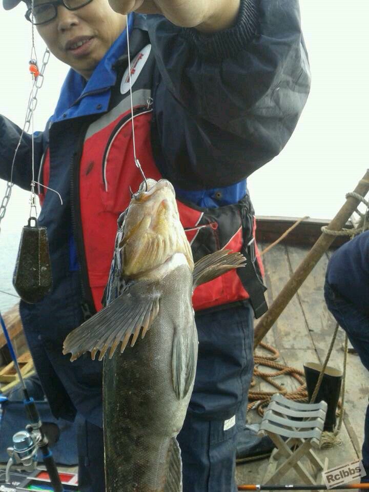 秦皇岛海钓