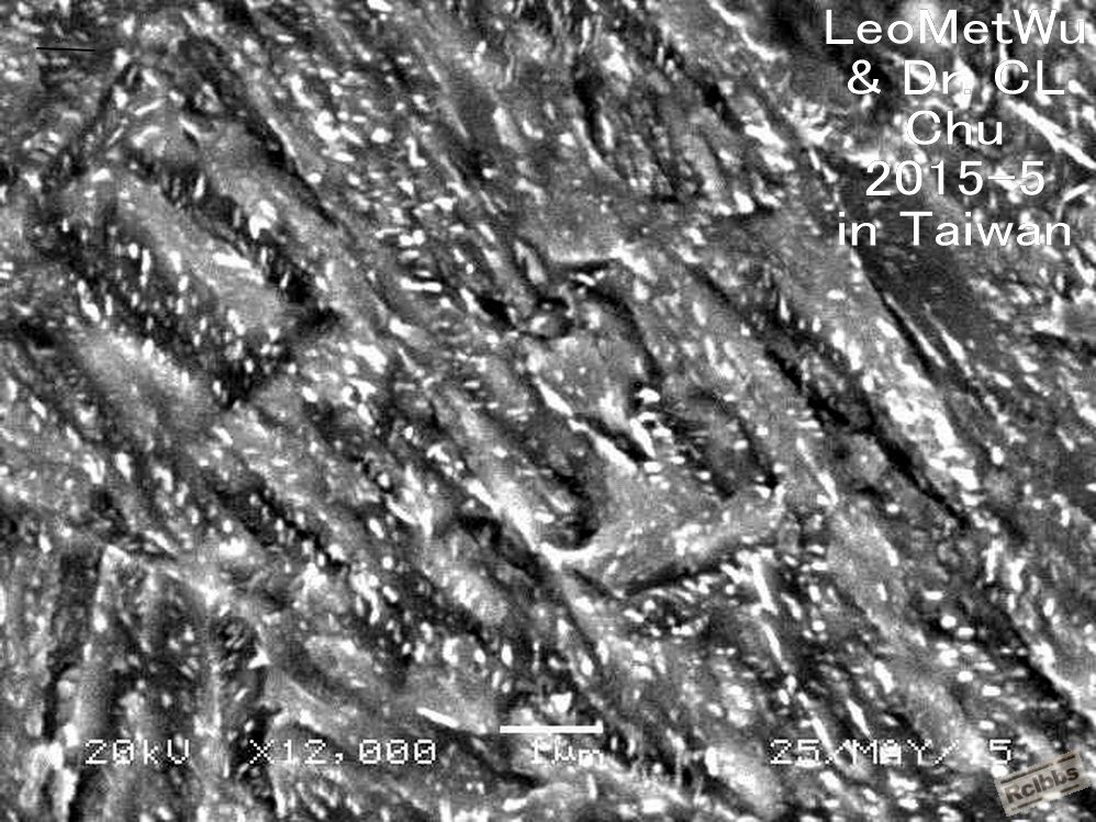 SEM at 12000X