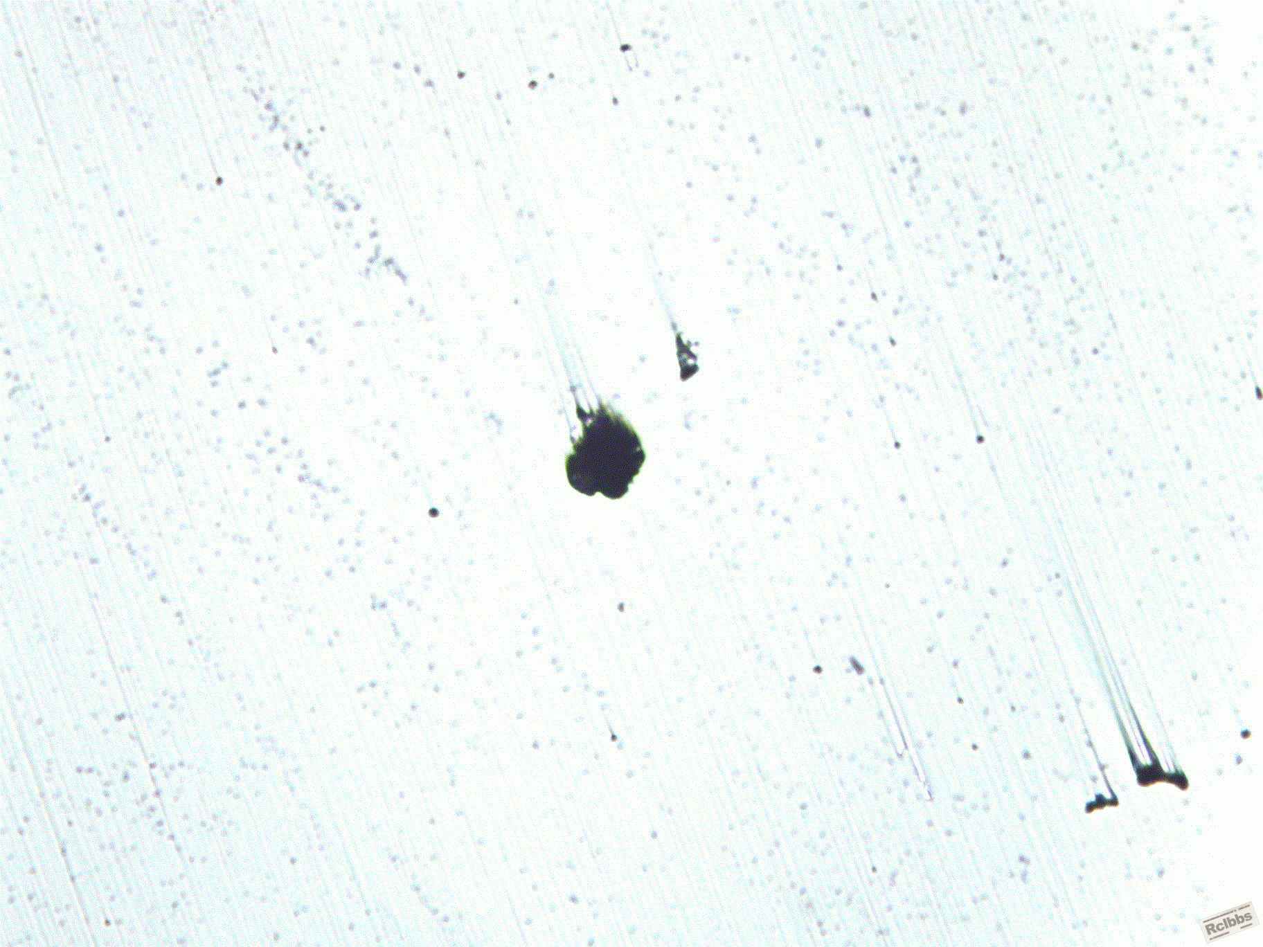 image0006.gif