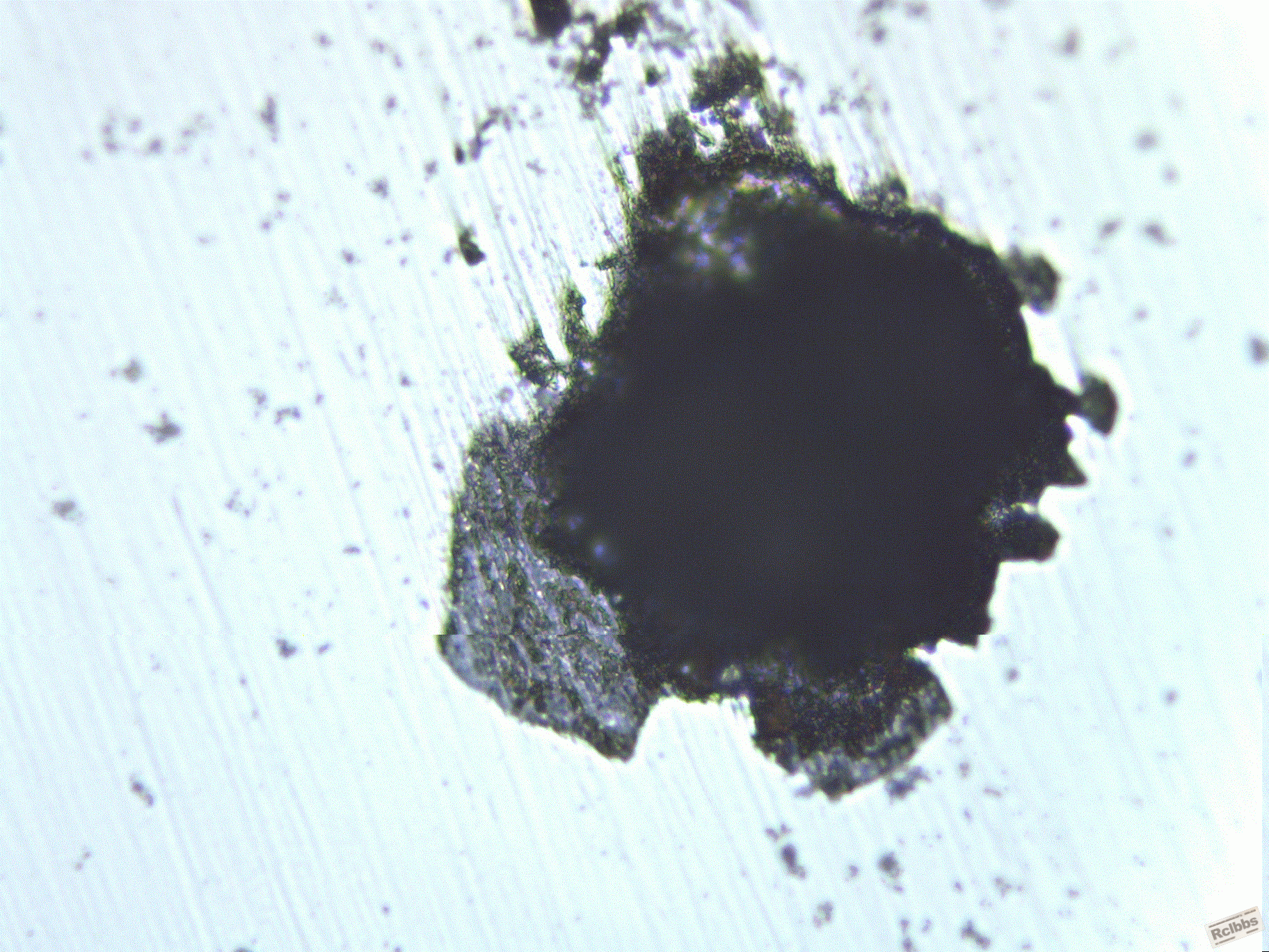 image0007.gif