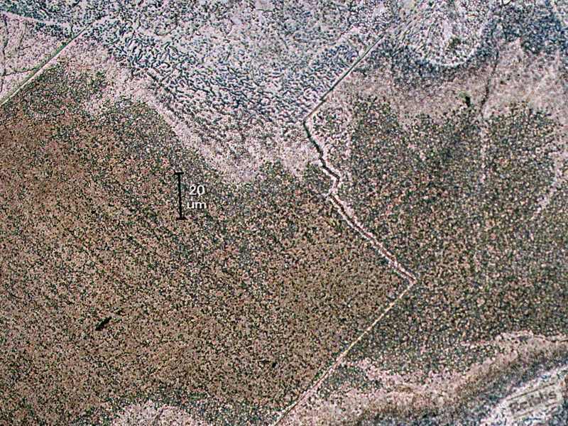 9b.jpg