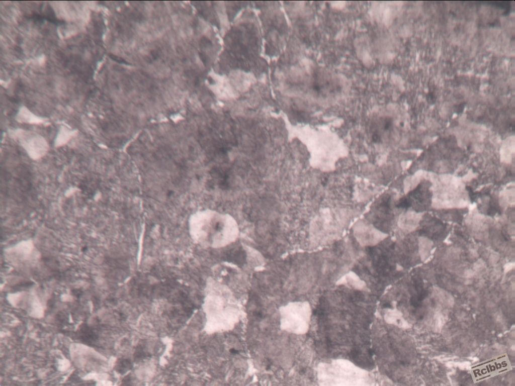 R-基体组织-200X-1.jpg