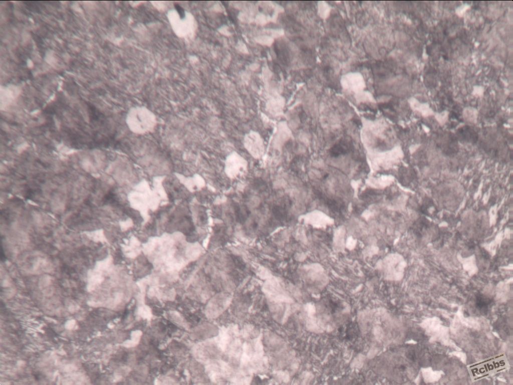 R-基体组织-200X-1_1.jpg