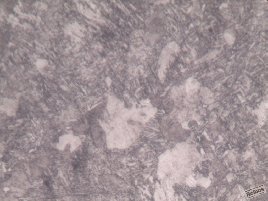 R-基体组织-400X-1_1.jpg