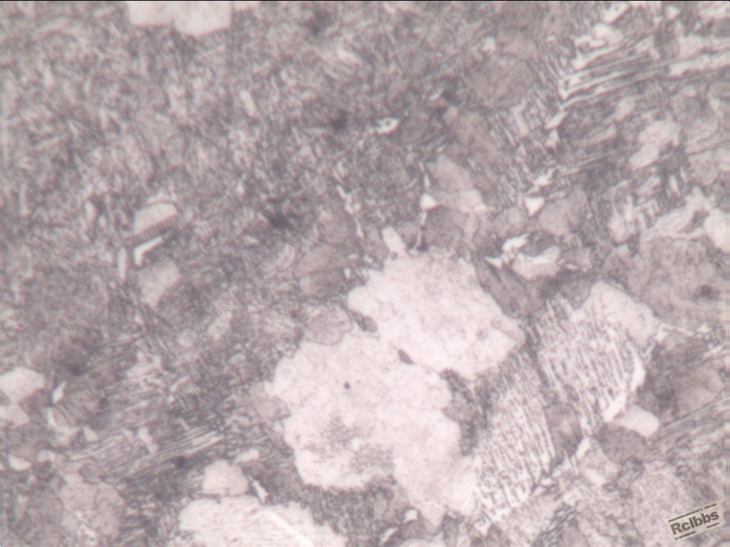 R-基体组织-400X-1.jpg