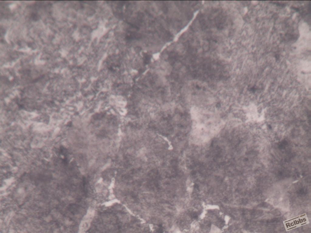 R-基体组织-400X-1_2.jpg