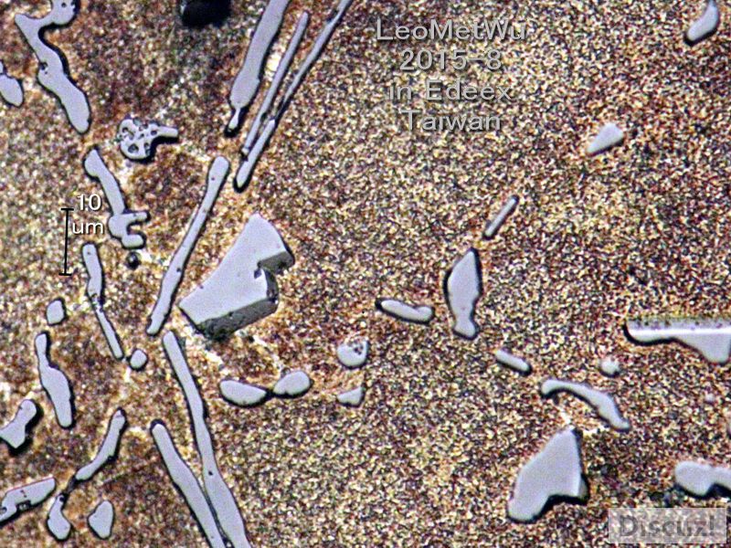 5q.jpg