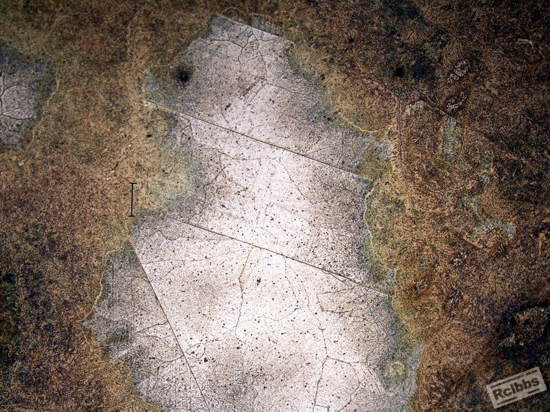1c.jpg