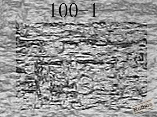 100-1.jpg