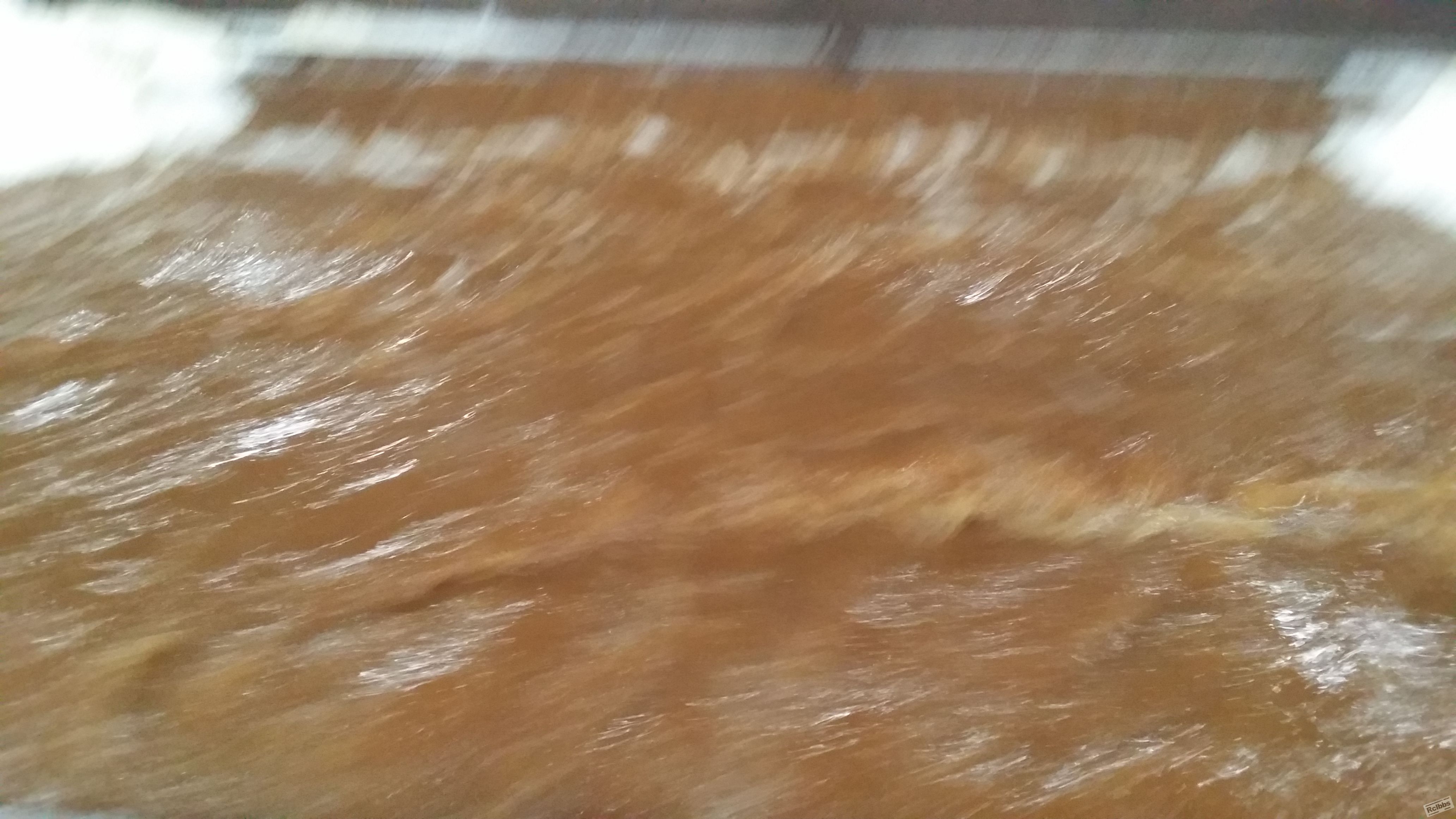 20150813_111135.jpg