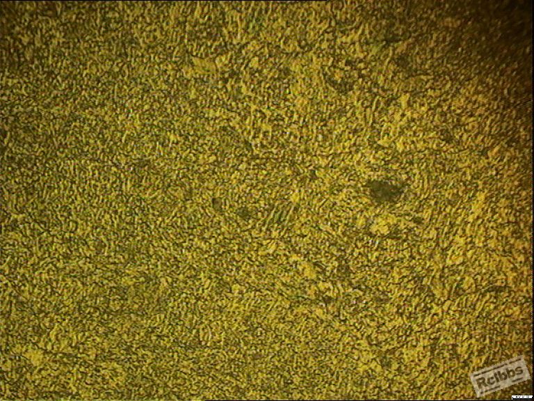 18锻态500X.JPG