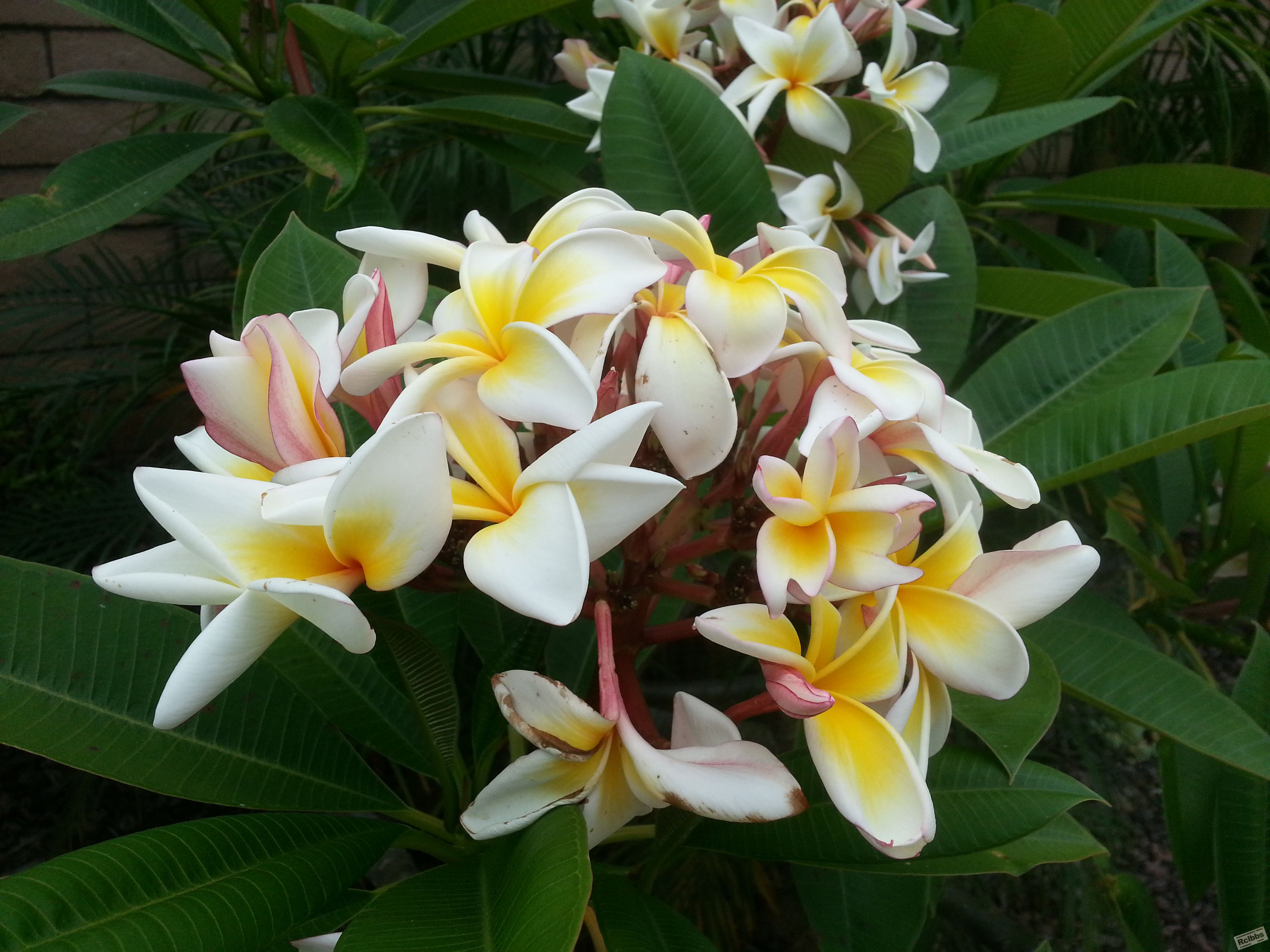 20150809_105851.jpg