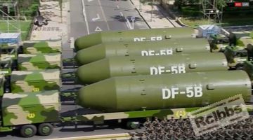 DF5B.jpg