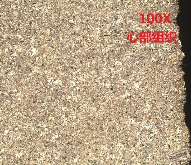 100X心部组织