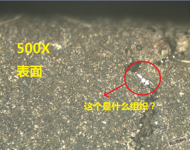 500X表面组织
