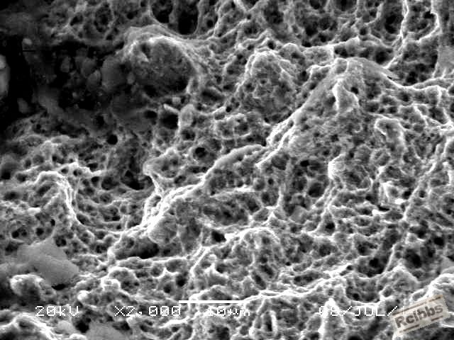 dimpled fracture surface