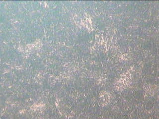 20151013-1.jpg