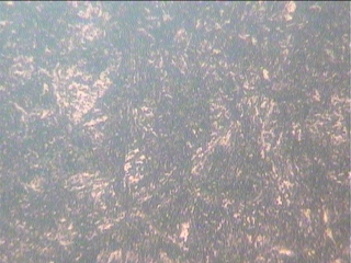 20151013-2.jpg