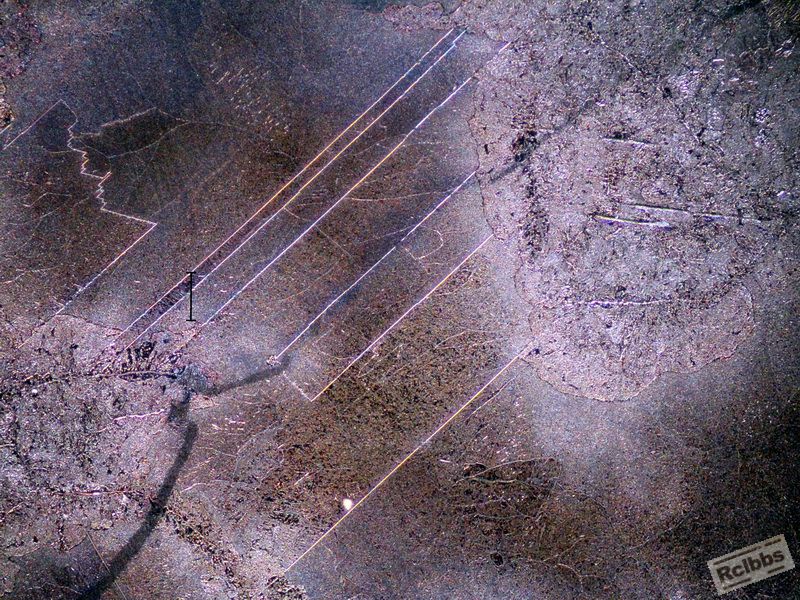 Dark Field