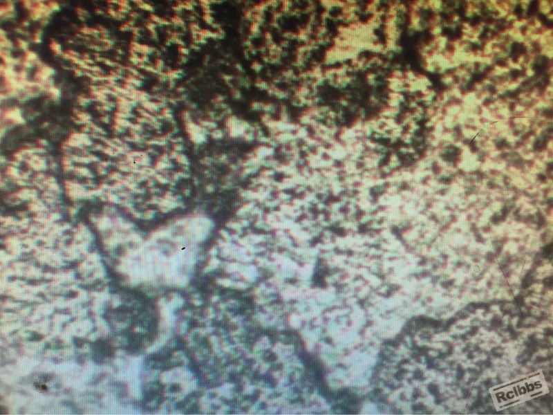 113126r02kf2444lhfhf24.jpg