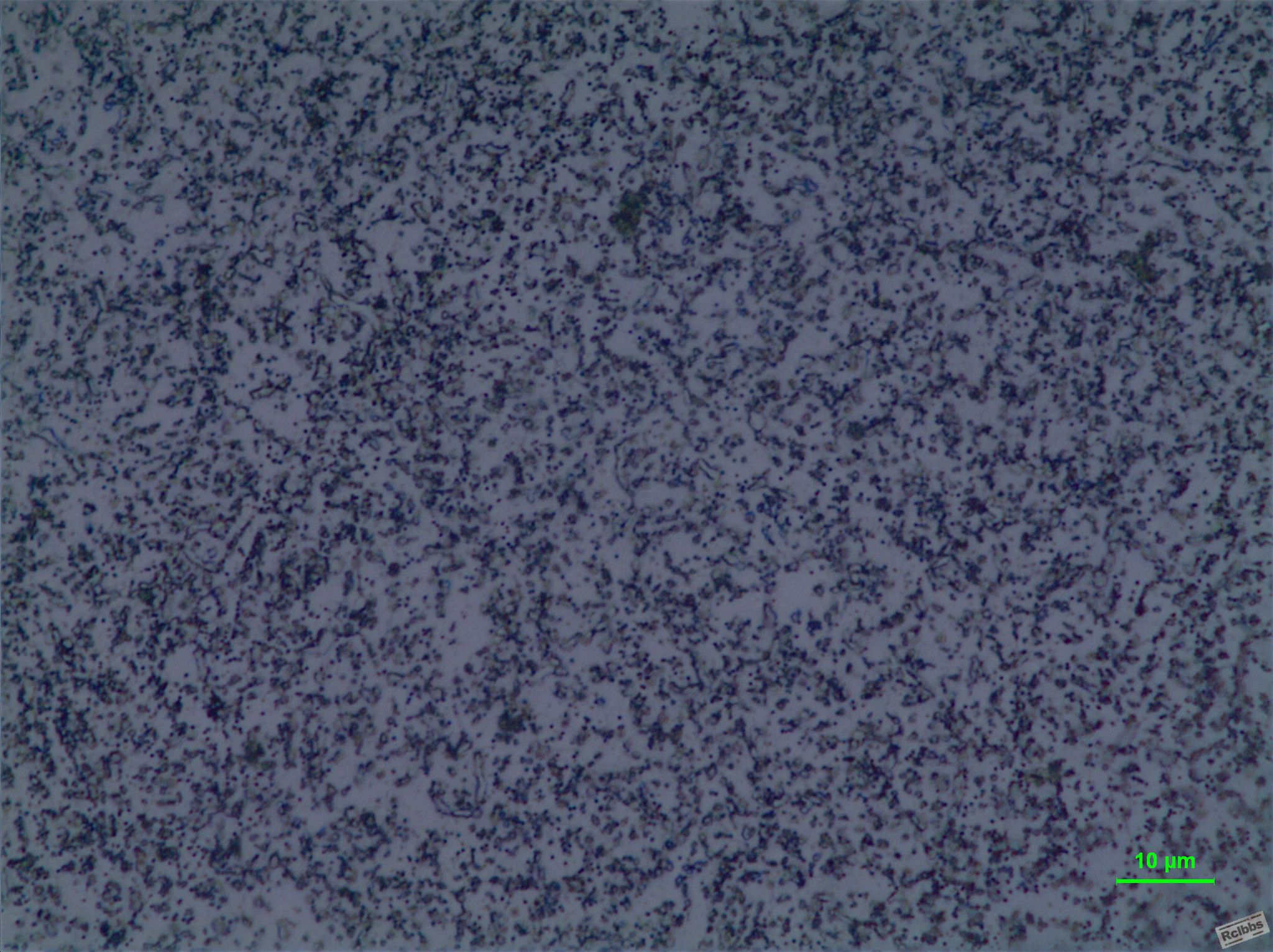 420B 1000X
