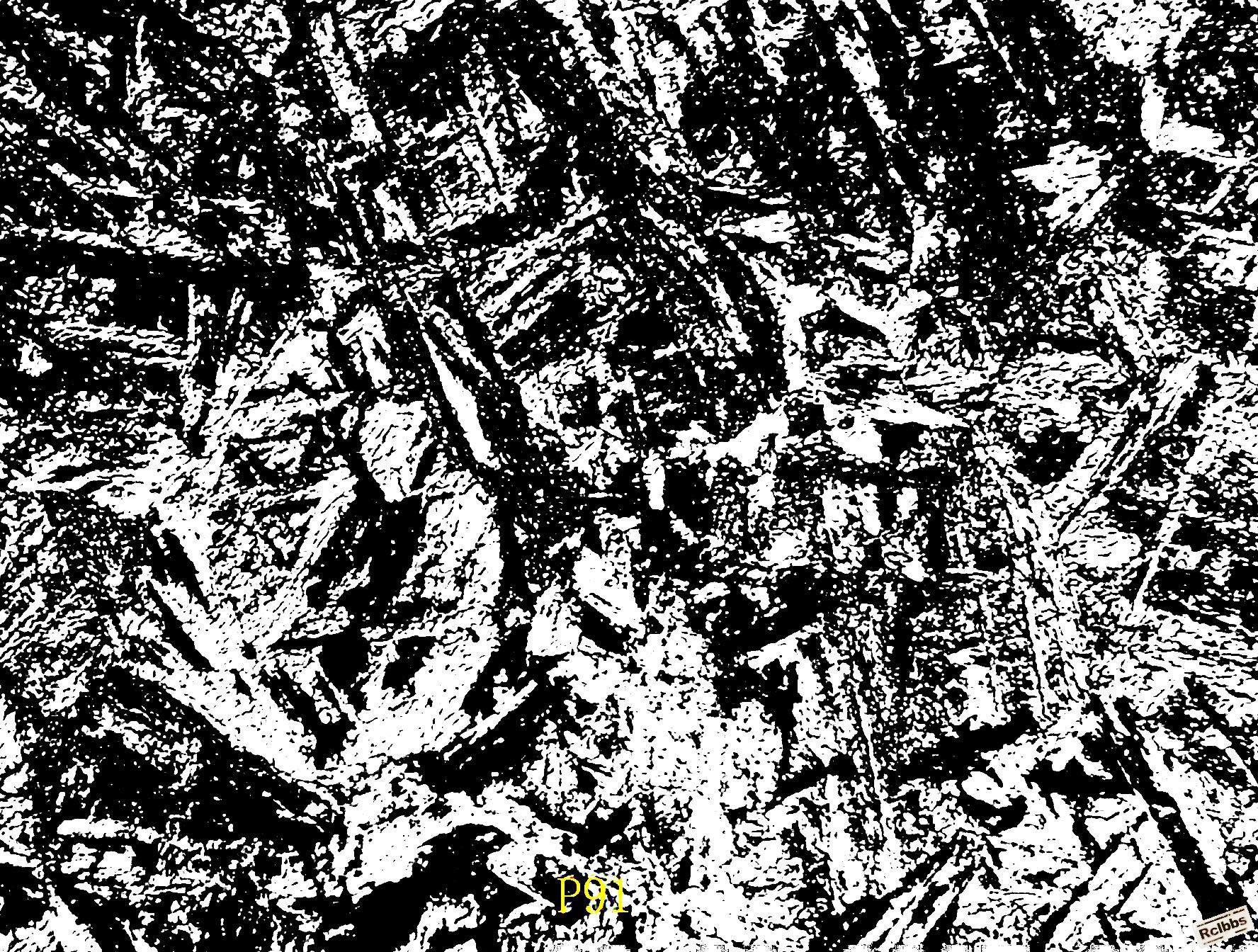 未标题-1.jpg