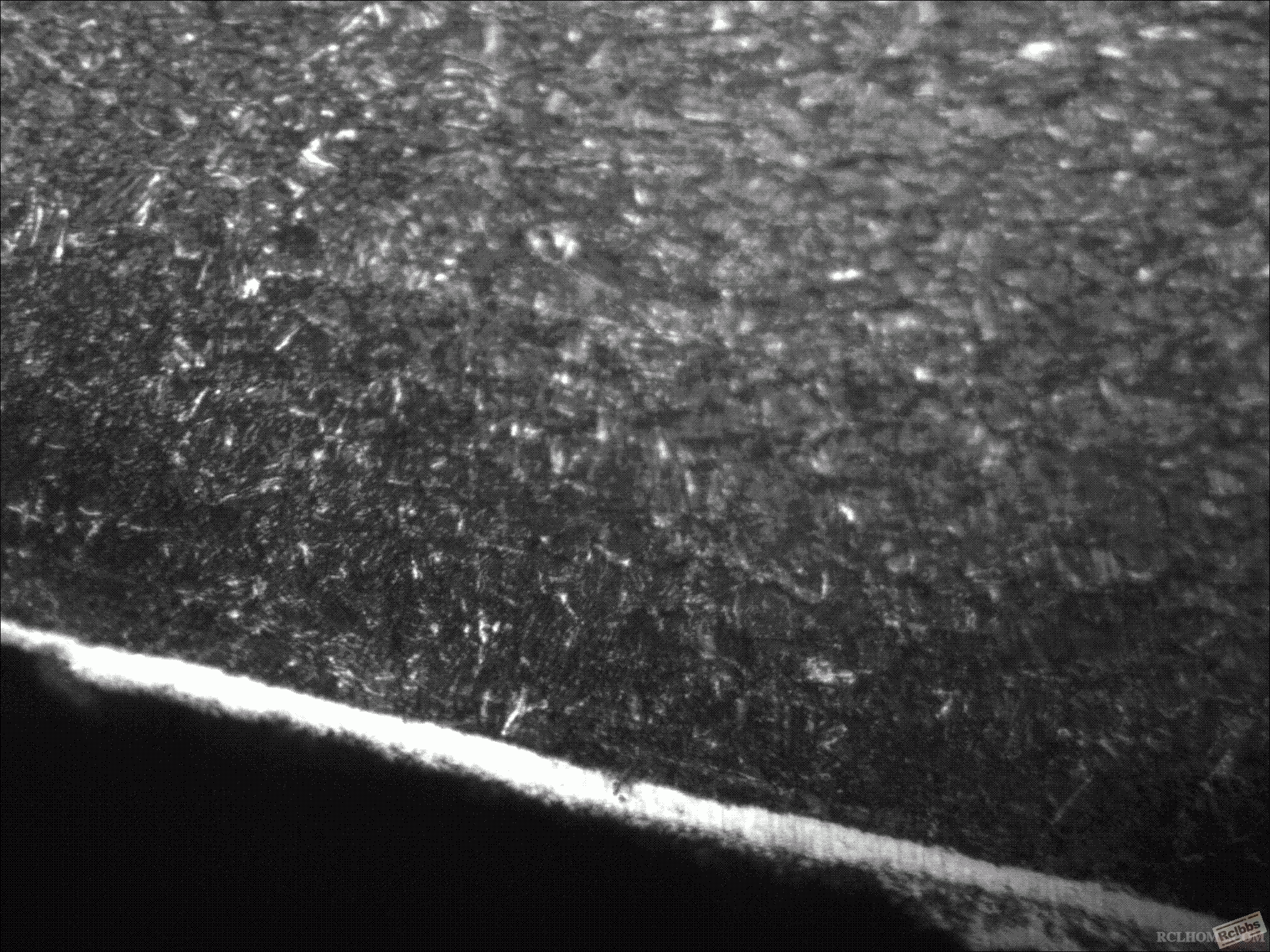 31CrMoV9.gif