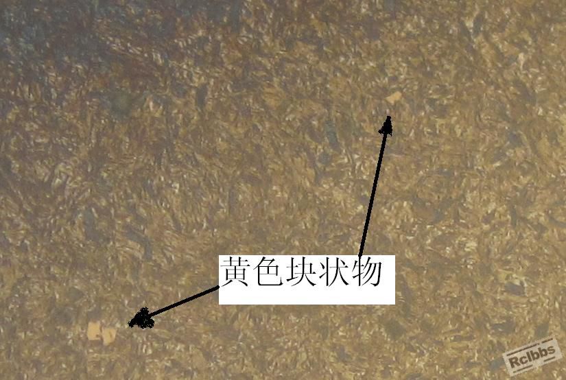 照片0 005.jpg