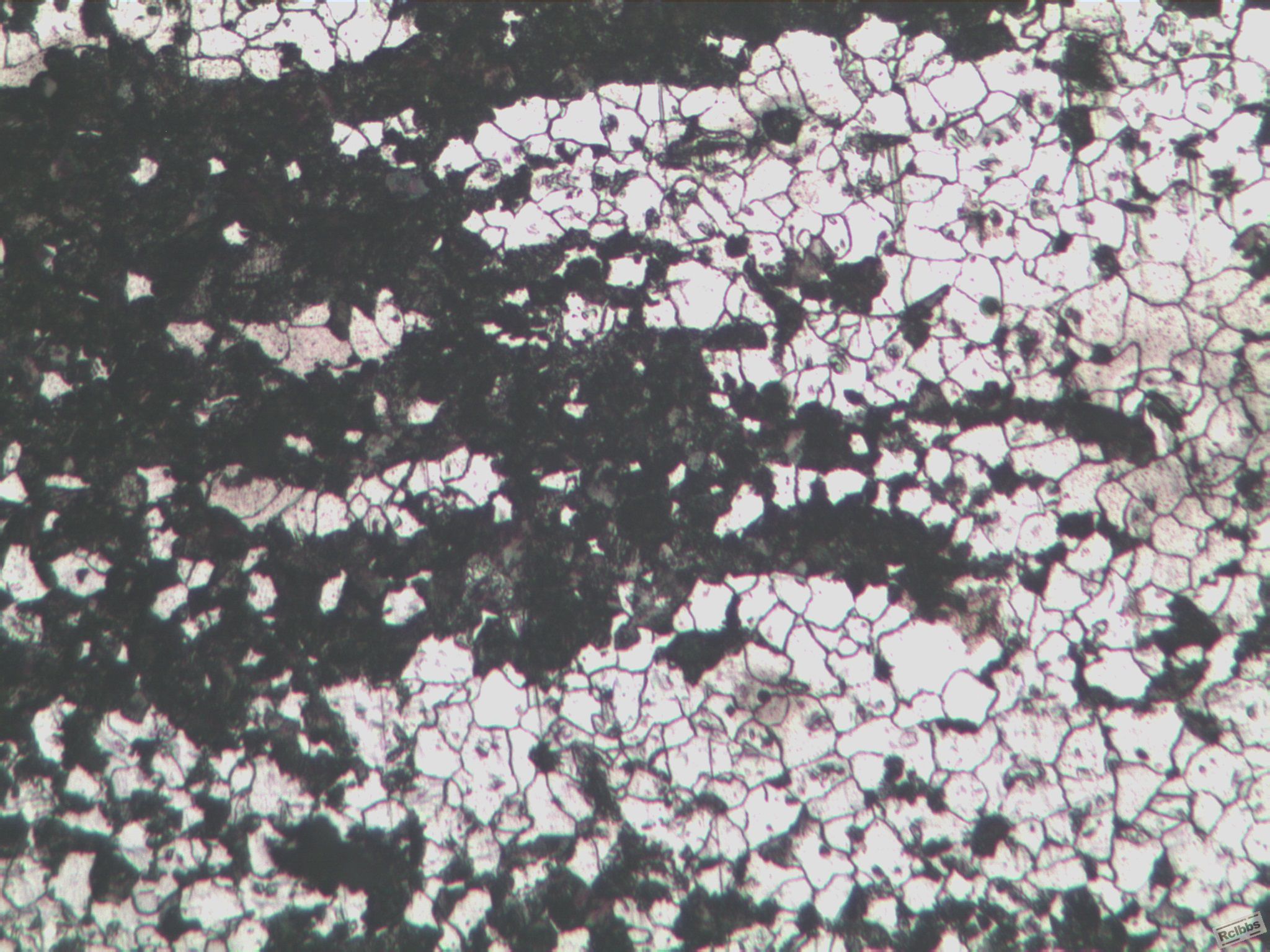 2#-100X-1.jpg