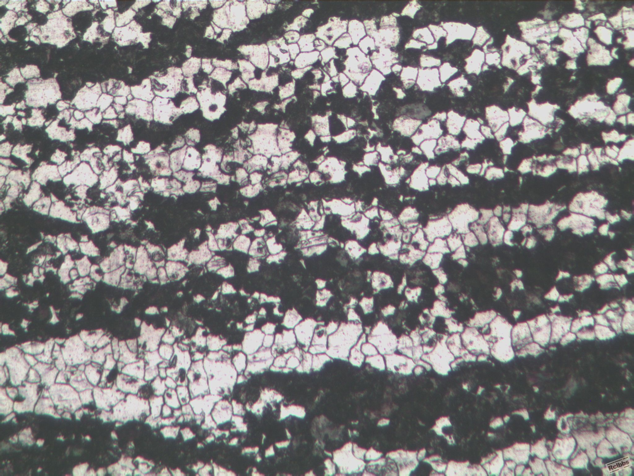 2#-100X-4.jpg