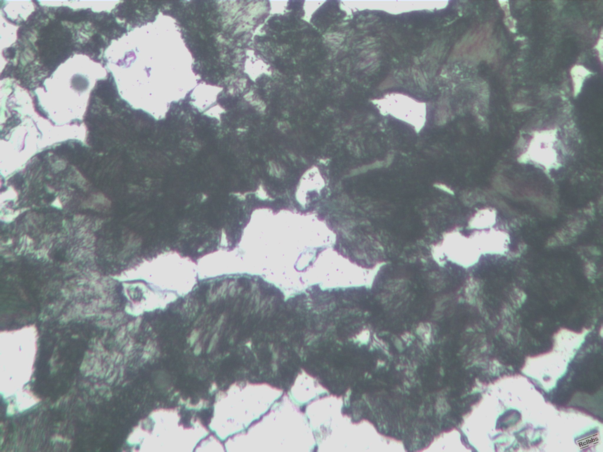 2#-400X-2.jpg